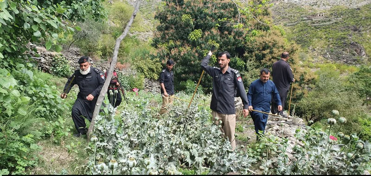 وزيرستان غږ نشراتي اداره tweet media