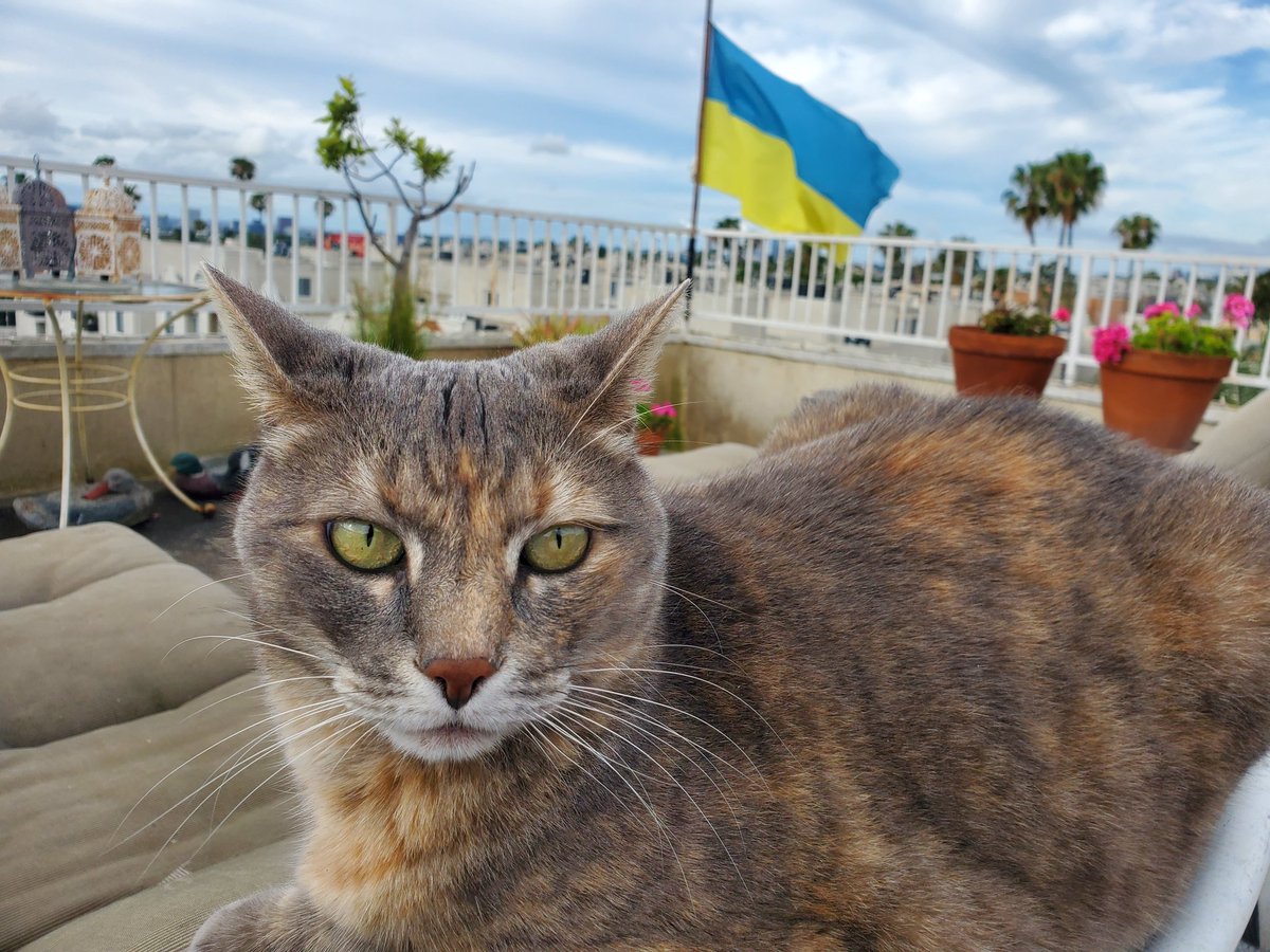 Gregory Hinton tweet media