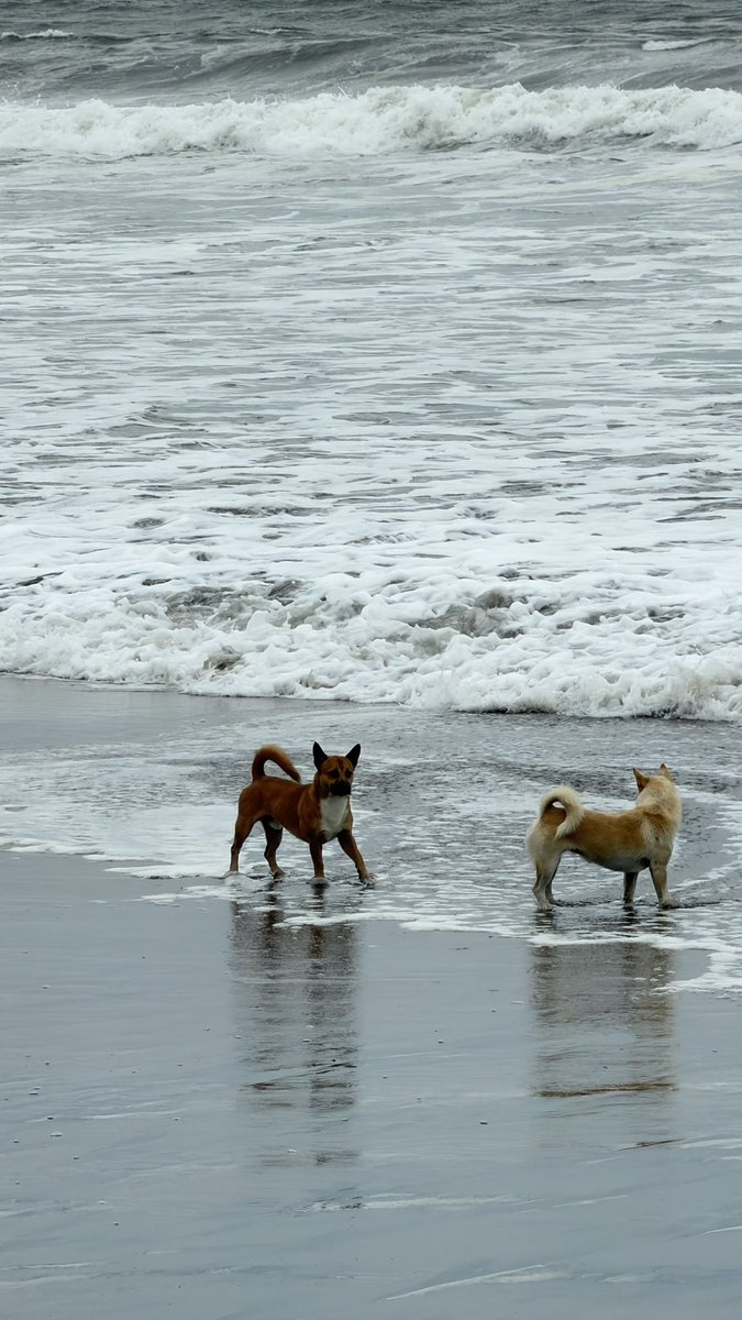 يوسف tweet media