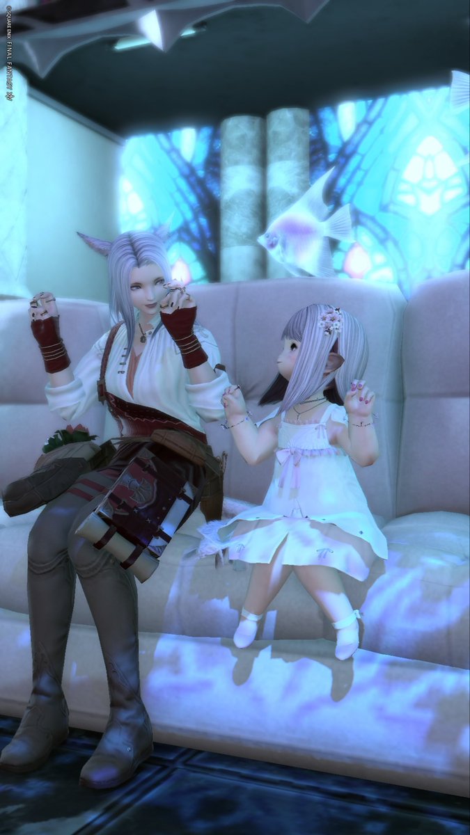 バル：F： tweet media