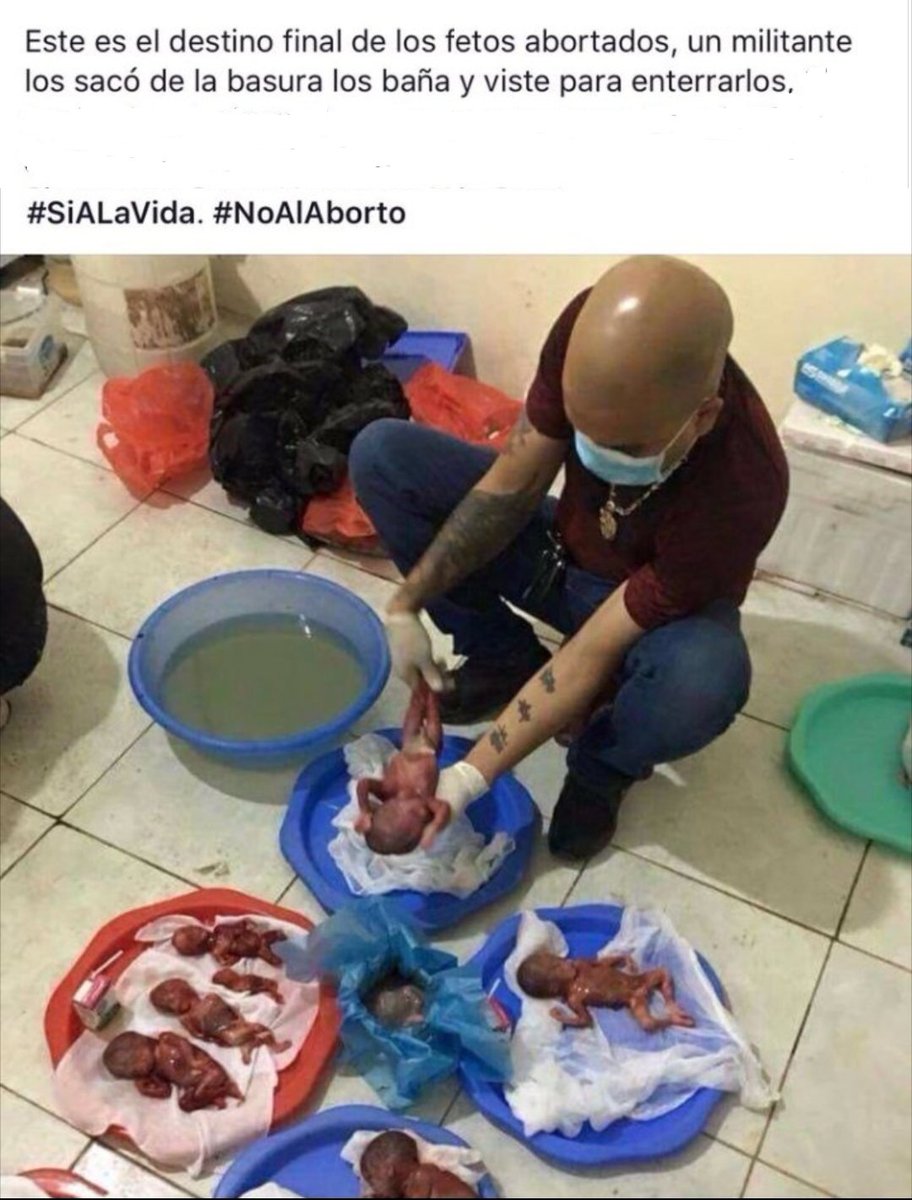 MaríaEdelweiss2 tweet media