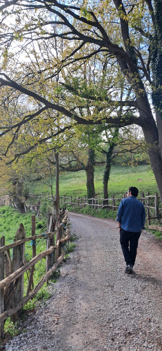 Julio Valdeón tweet media