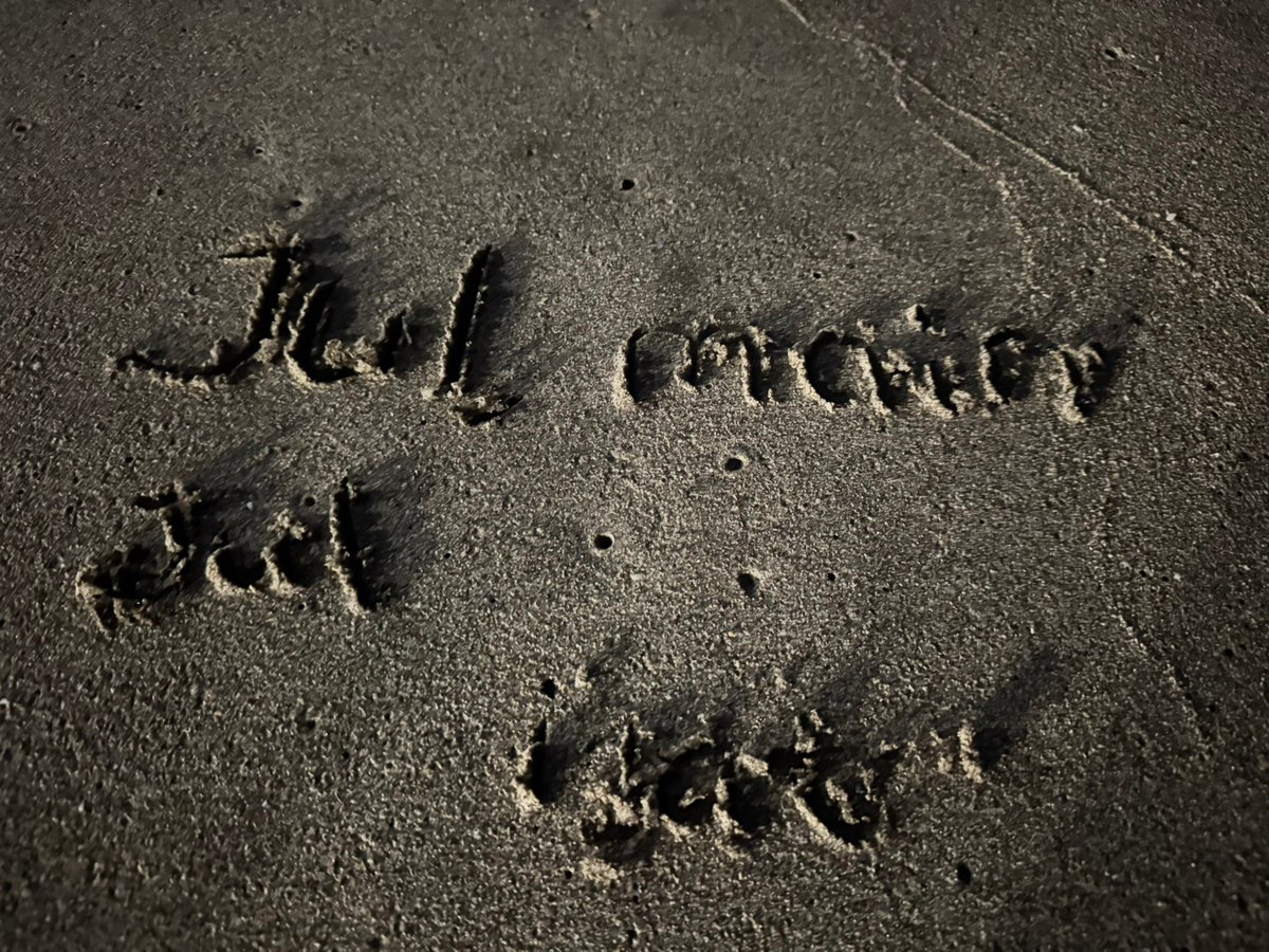 ᴅᴀᴠɪ tweet media