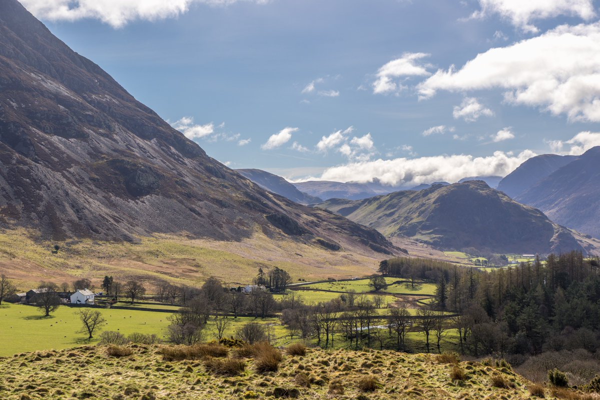 Andrew Locking tweet media