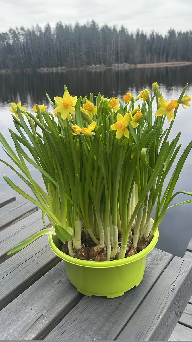 Riikka Purra tweet media