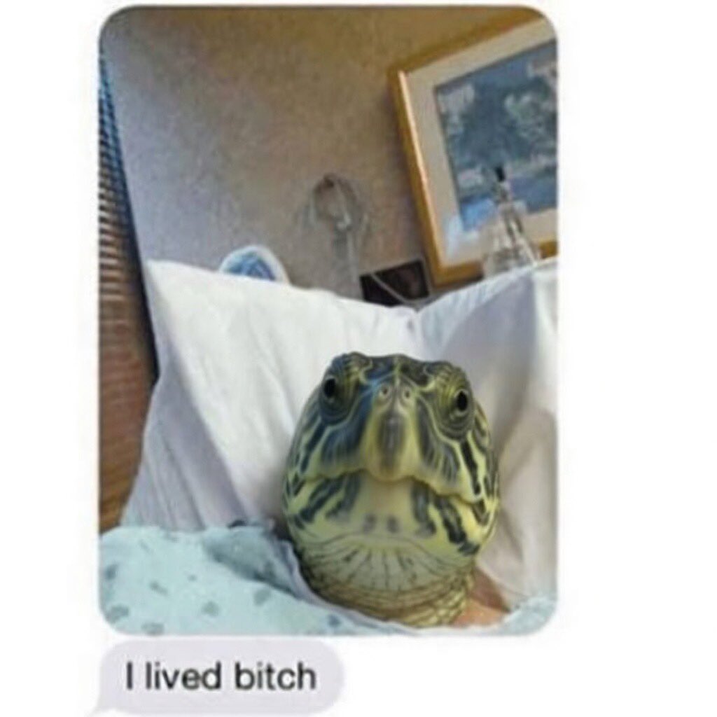 Daily Roman Updates tweet media