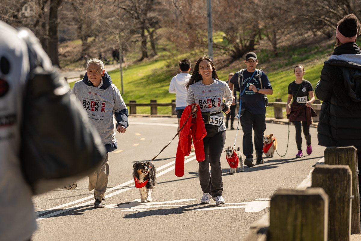 Cornell Riney Canine Health Center tweet media