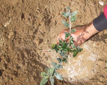 °_° همتی tweet media