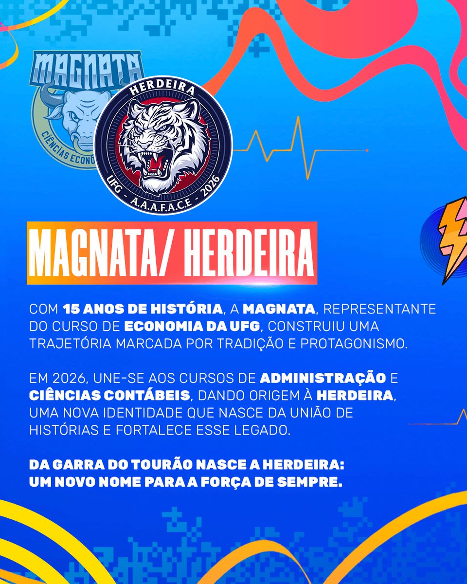 Zangão 🐝 tweet media