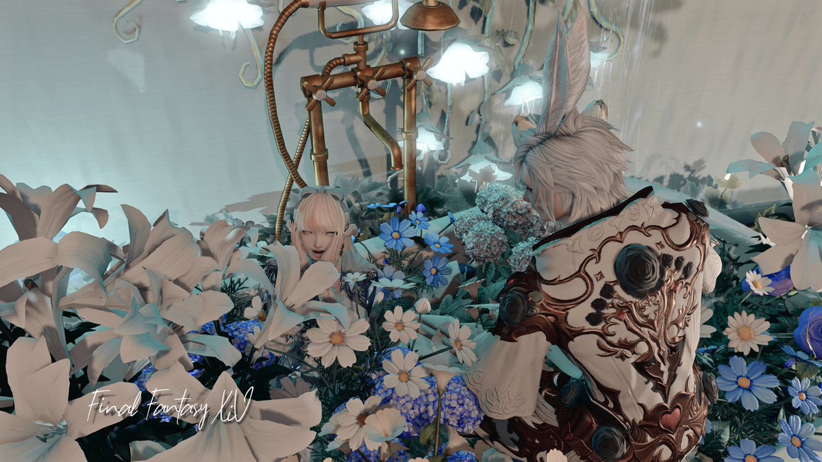 しぇりー tweet media