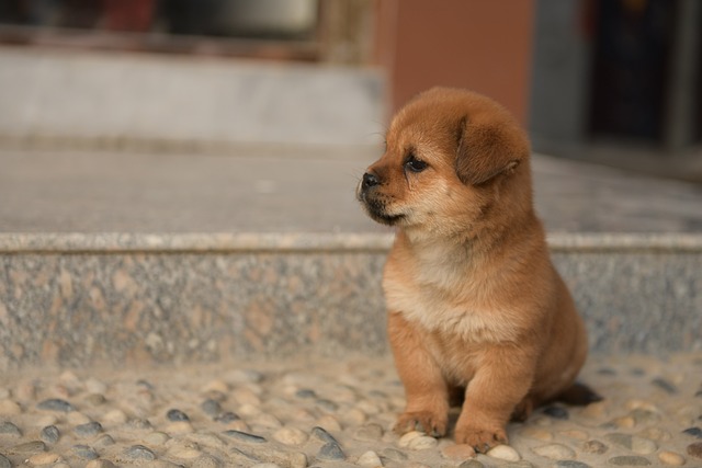 Todd Belitz tweet media