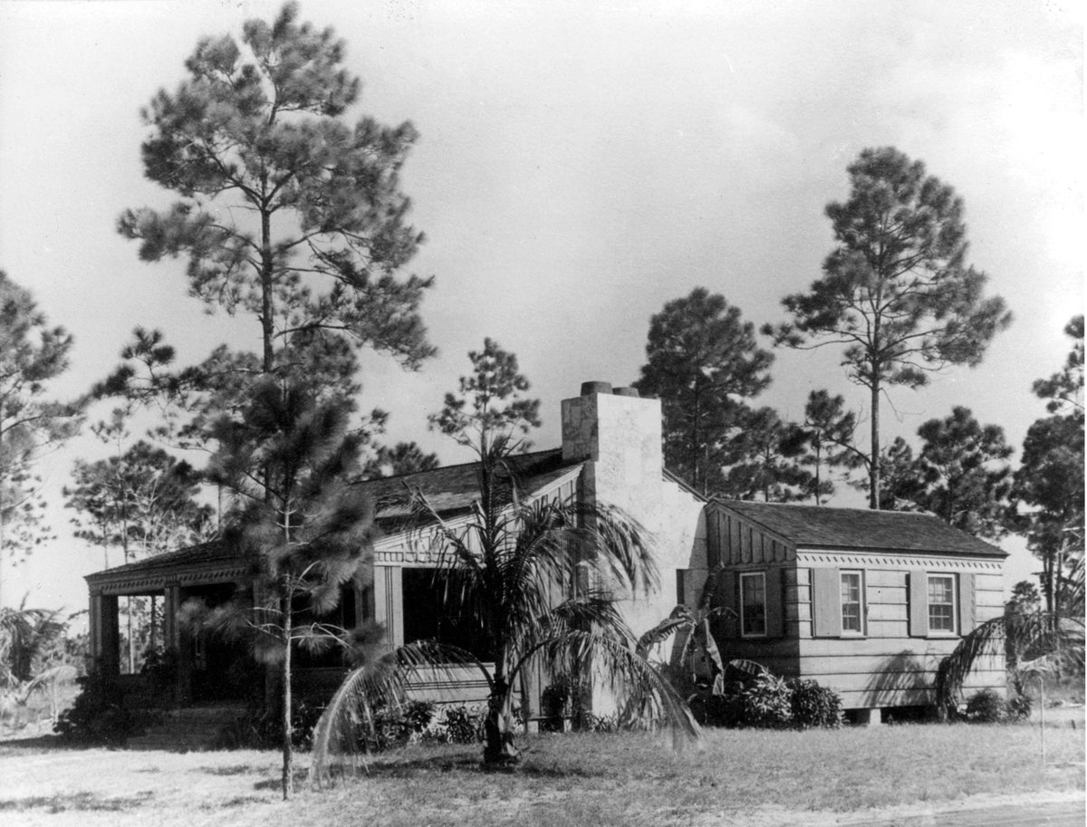 Tropical Audubon tweet media