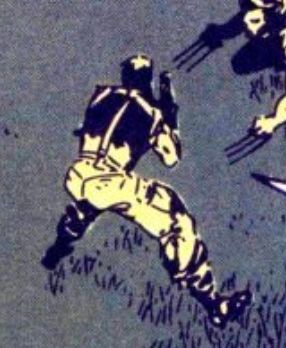 Daily Frank tweet media