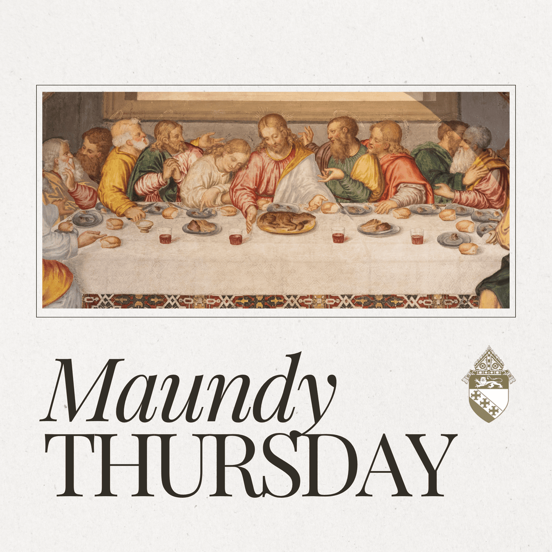 Diocese of Charleston tweet media