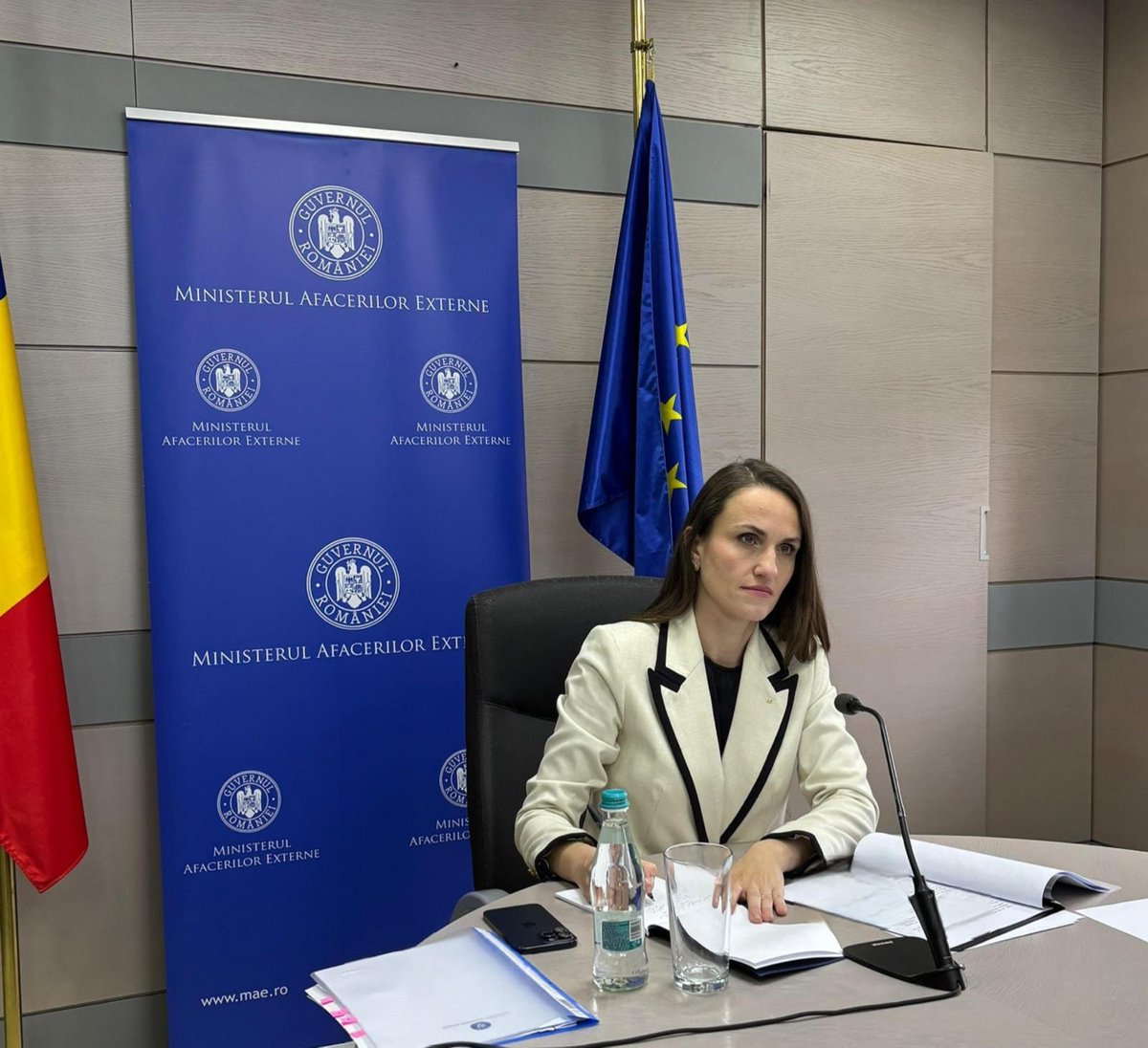 Toiu Oana tweet media