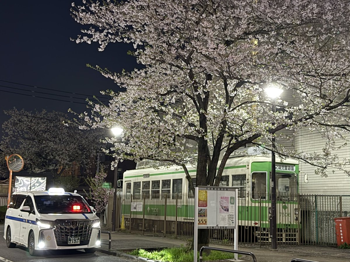 🚖 SHIN KATSU TAXI tweet media