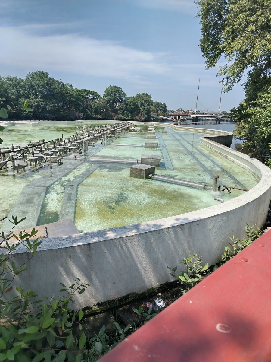 guayaquilnews tweet media