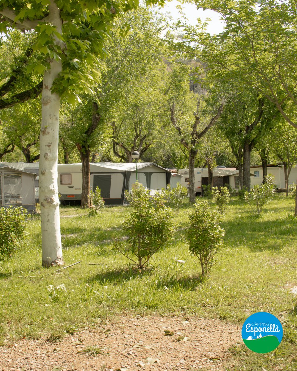 Camping Esponellà tweet media