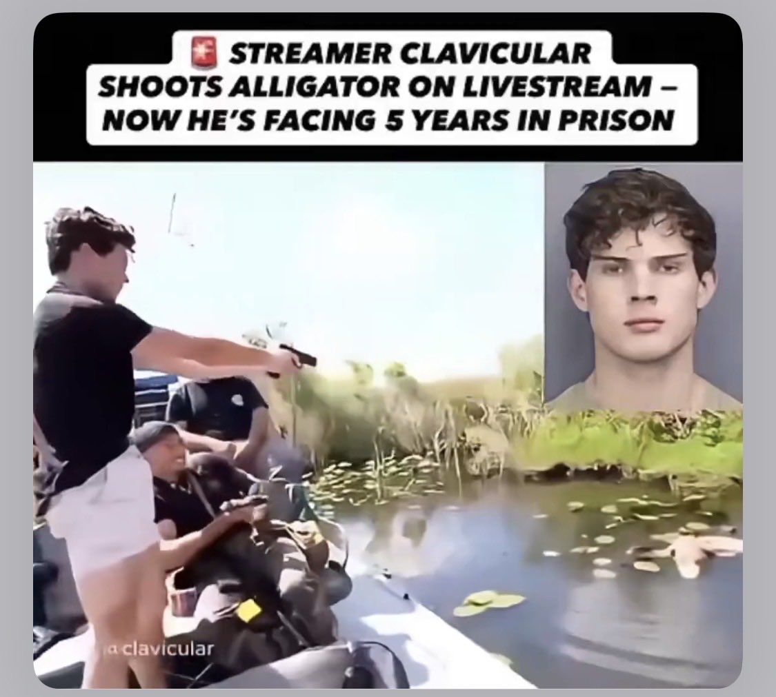 MidwestRight tweet media