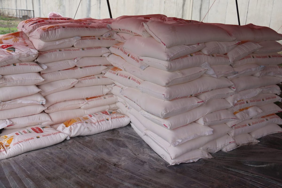 مفتي فیصل tweet media