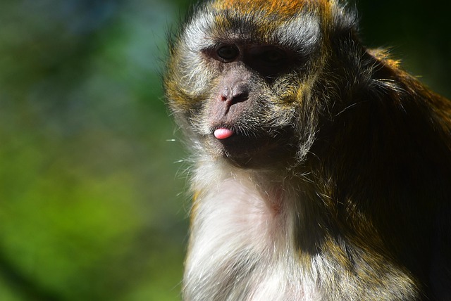 Heather Alexander tweet media