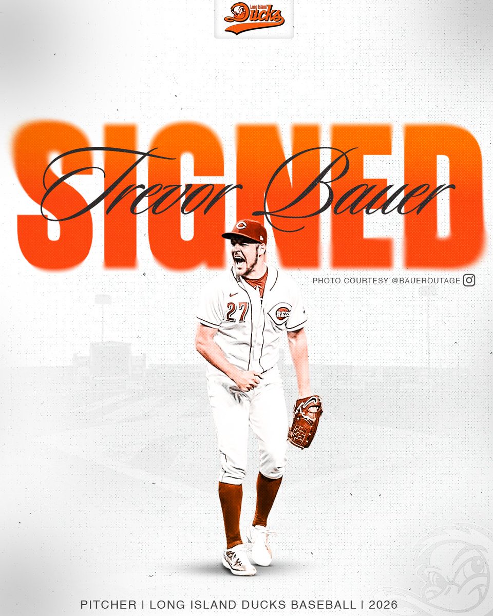 Long Island Ducks tweet media