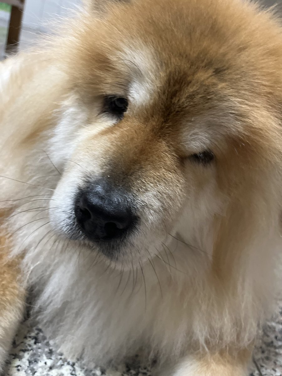 ㄉㄠˇ芽菜🌱 tweet media