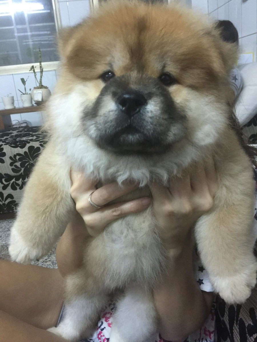 ㄉㄠˇ芽菜🌱 tweet media