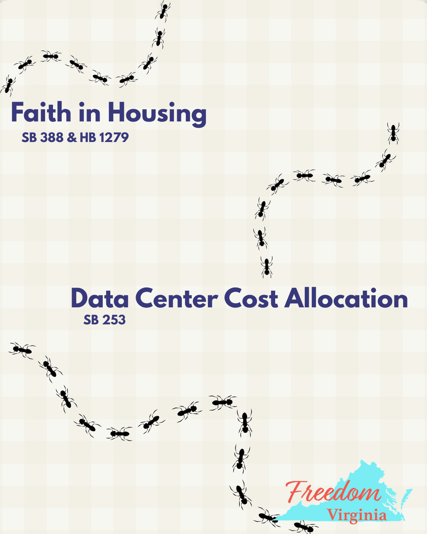 Freedom Virginia tweet media