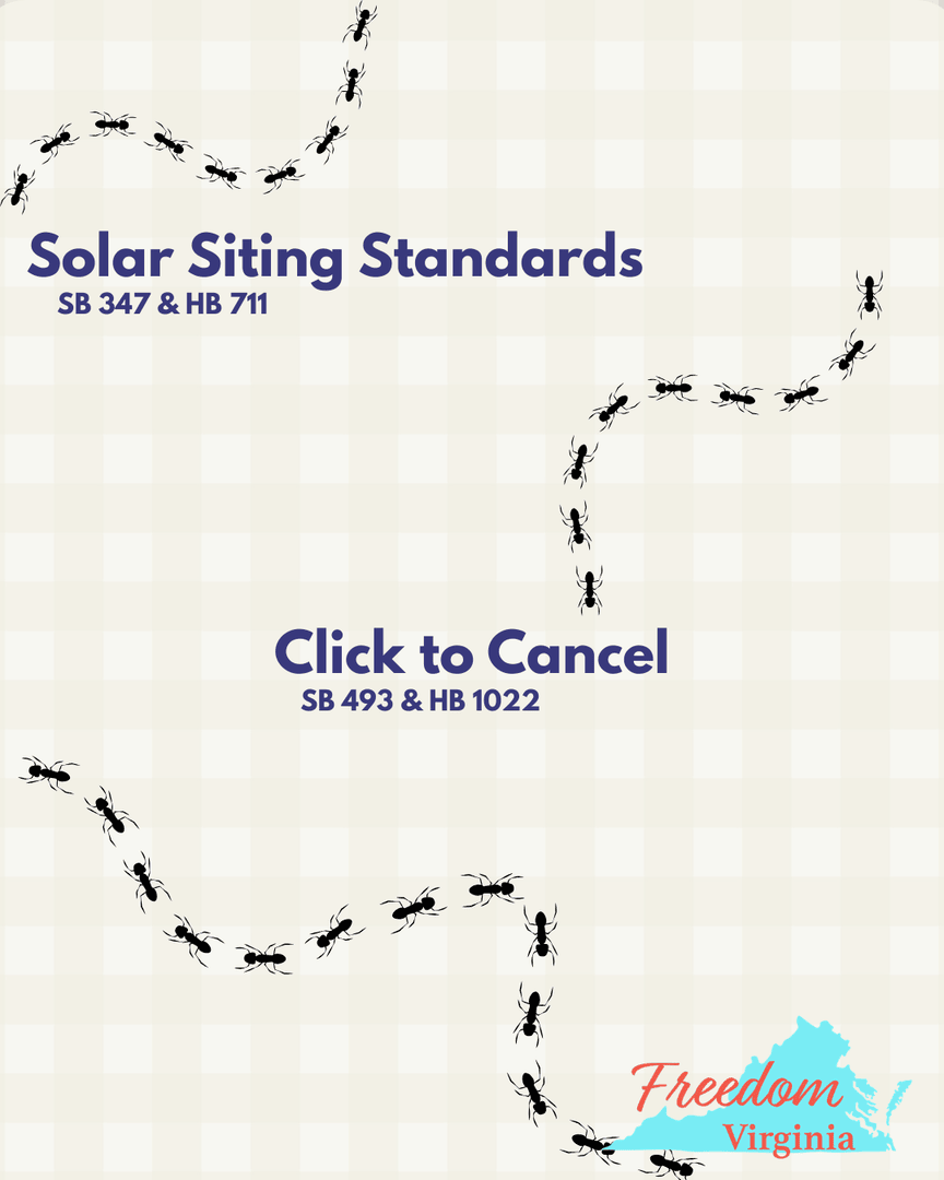 Freedom Virginia tweet media