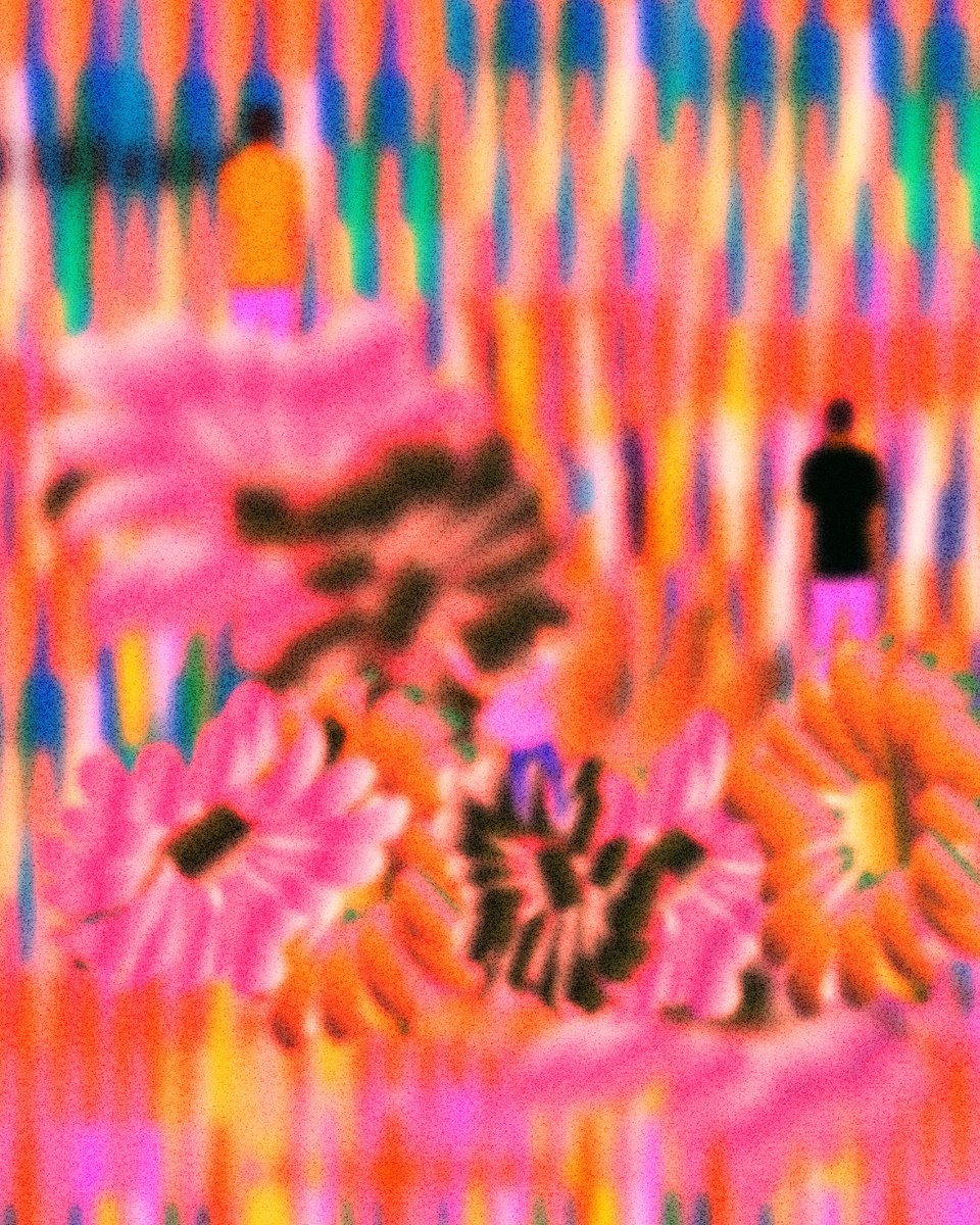 Seba Cestaro tweet media