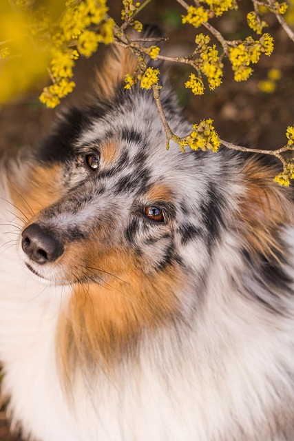 Paul Gysin tweet media