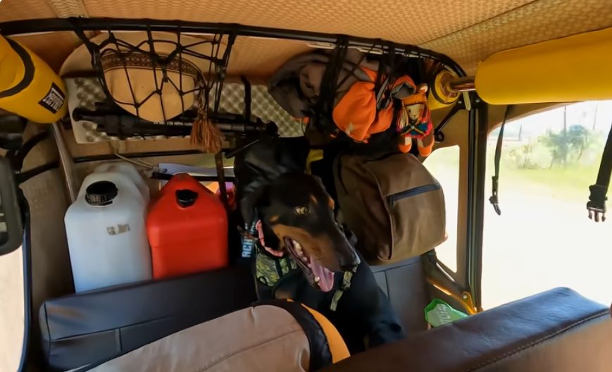 SFBags's tweet image. "1073 Days 🗓️ 
7 Countries
14 Border Crossings
38 000km
23 600miles
6 Mechanic Issues
18 Different Passengers
3 Wheeled Tuk Tuk 🛺 
1 Dream" ✨ 

Are you following Ryan (@AussieEspanol), his dog Patti, and his WaterField Shinjuku Backpack on the most epic adventure ever⁉️