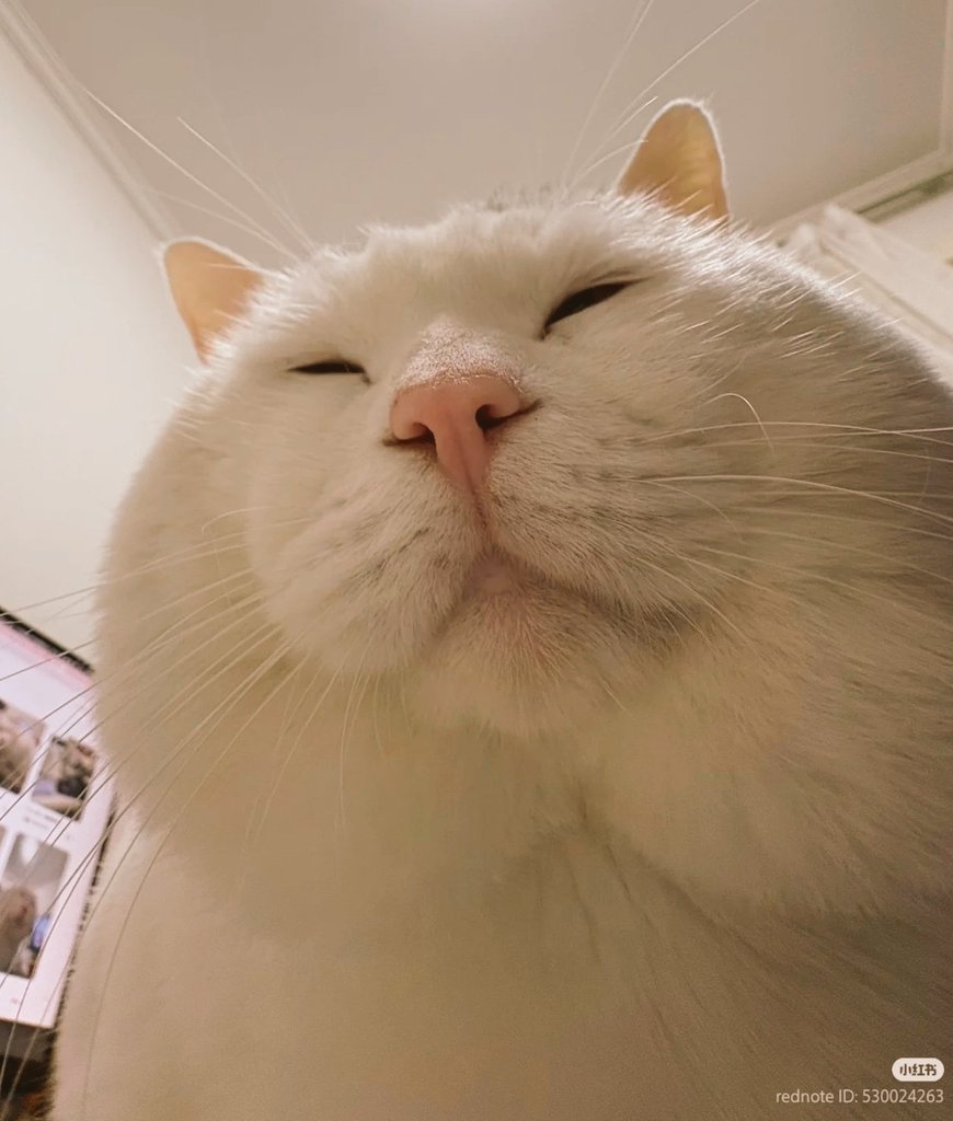 Kyoza555 tweet media