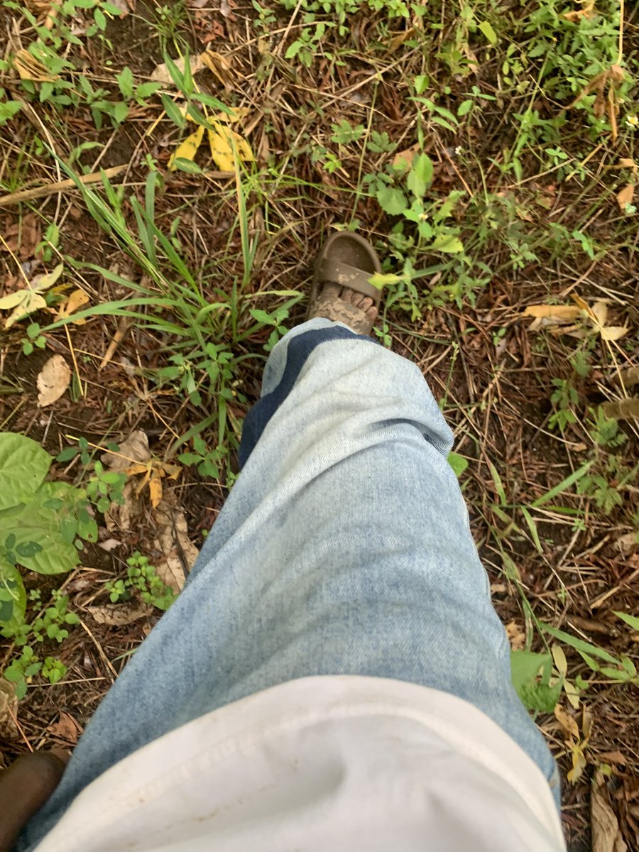 ASKOF OLUWAFEMI tweet media