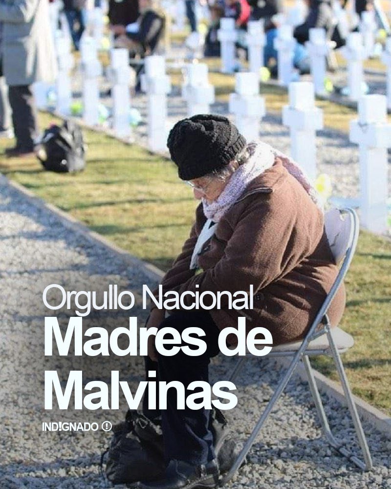 peladodelatv's tweet photo. Madres de Malvinas. Ellas no usan un pañuelo blanco y sus hijos fueron héroes .Nunca pidieron un subsidio, ni recibieron ayuda económica del estado como recibieron las madres de los que ponían bombas, jamás lucraron con un pañuelo blanco. Las verdaderas madres de la patria. Deja tu “Si” si apoyas que son las madres de la patria
