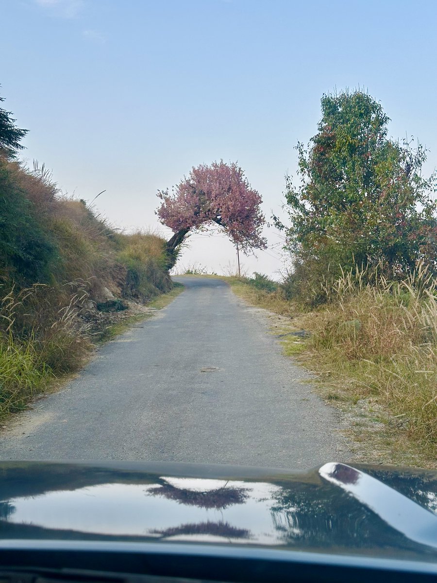 ViewFromShikhar's tweet image. Photo challenge: shot from inside the vehicle.