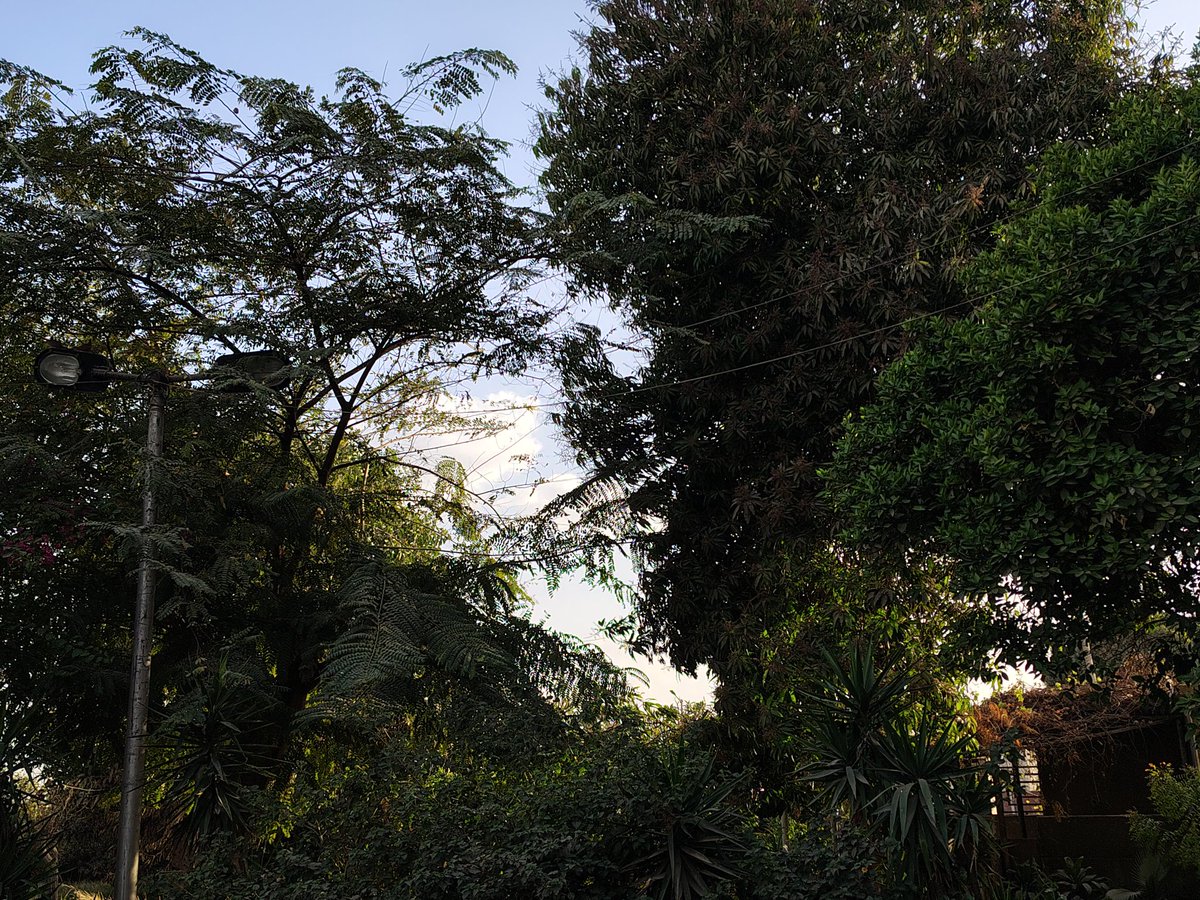 𓂆 سۣــٰ̍ہٖ tweet media