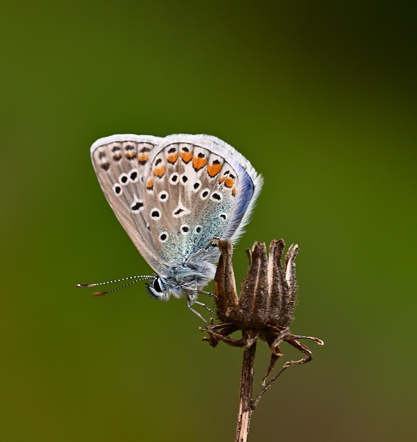 Leticia Fernandez tweet media