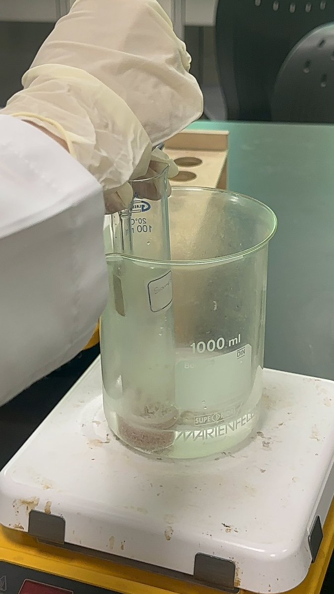 رهْـف الشھري ⚕ tweet media