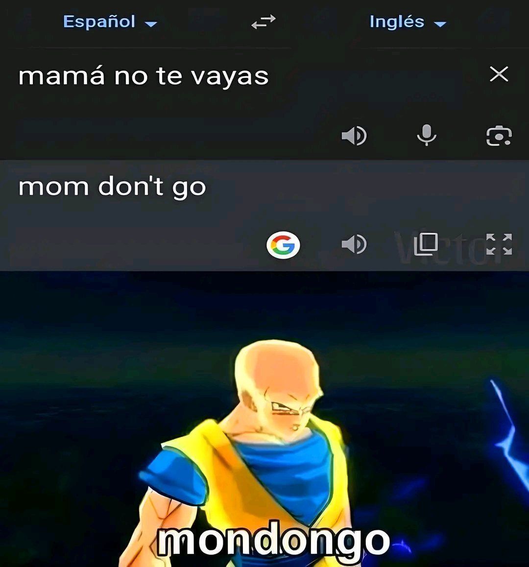 chincheto pirata somali tweet media