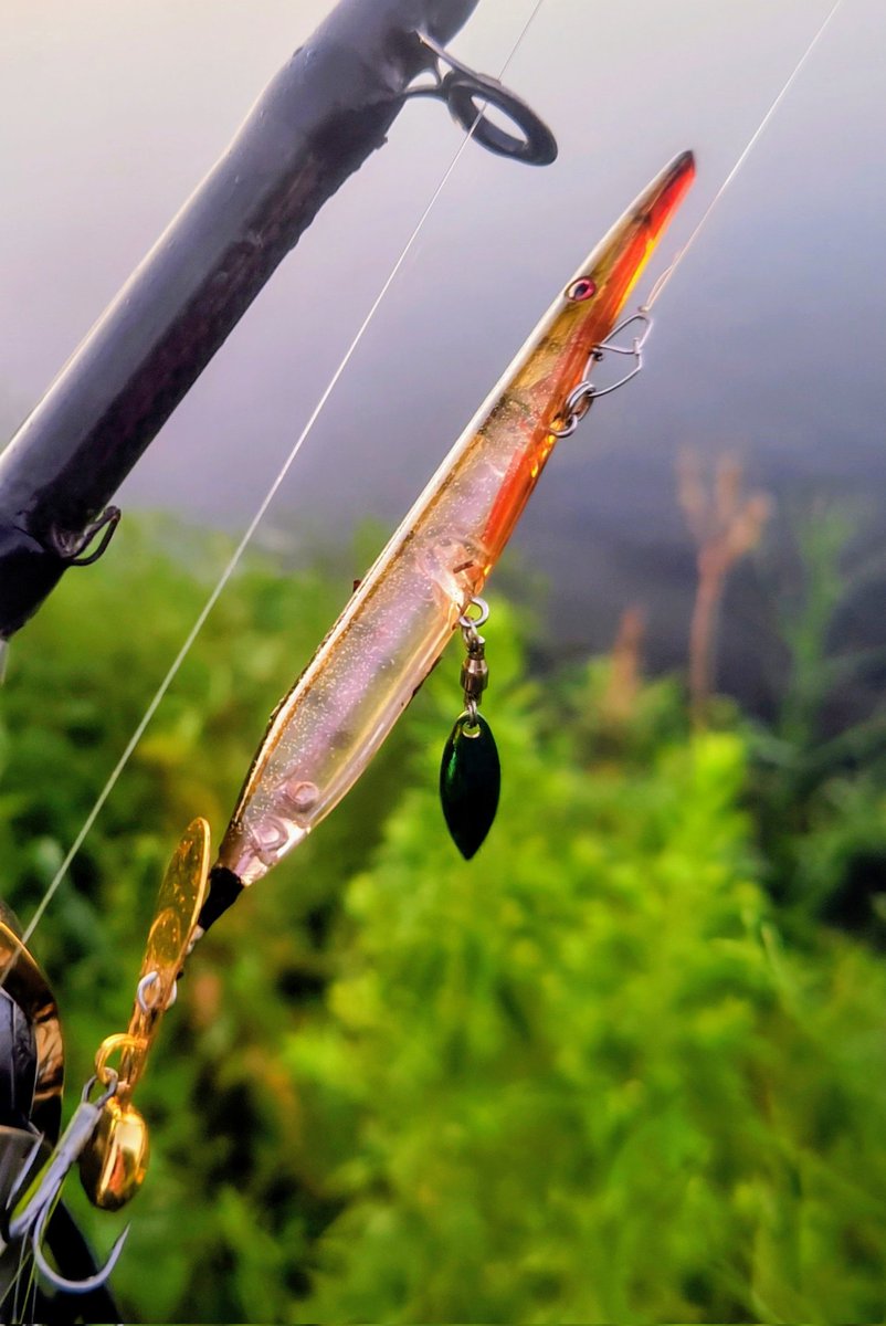 F105釣りアカ tweet media