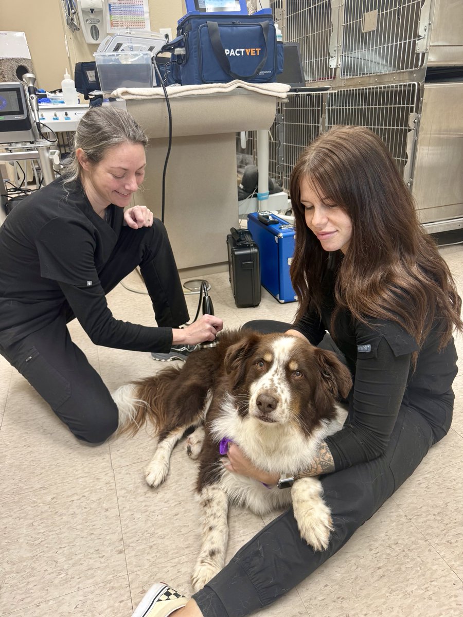 Multi Radiance Laser Therapy tweet media