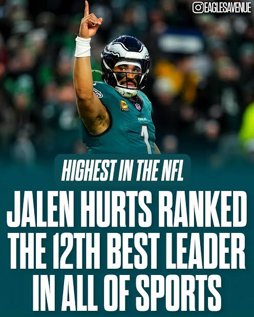 GoodBeardDayCeo tweet media