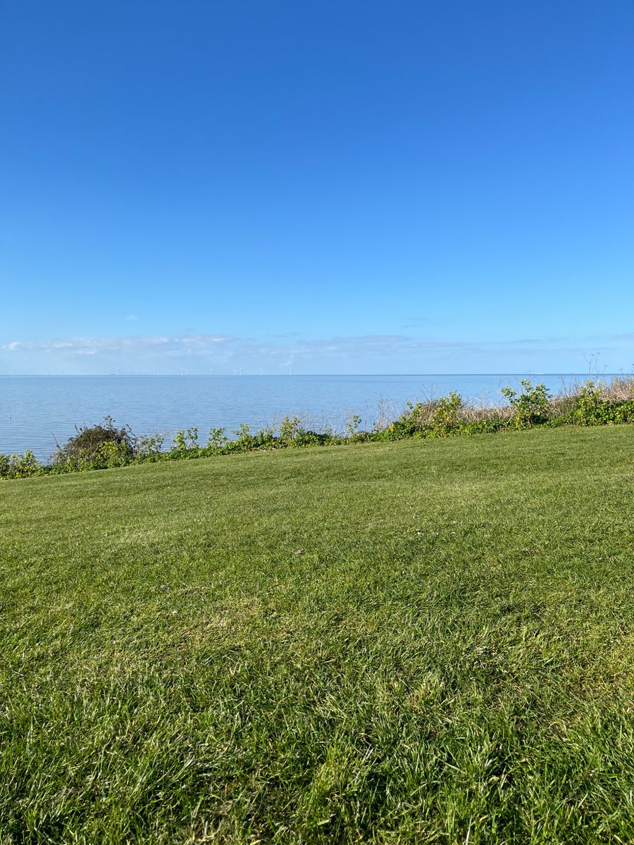 S Richards tweet media