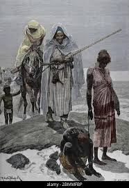 erol nacar tweet media