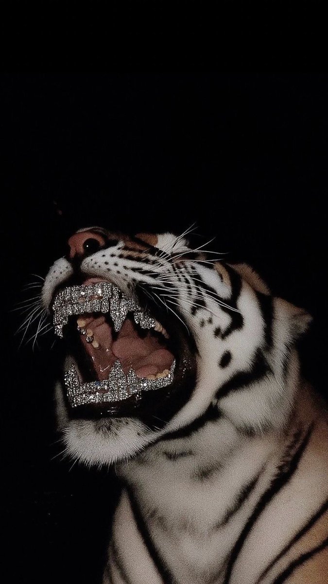 Rossie🦋✨ tweet media