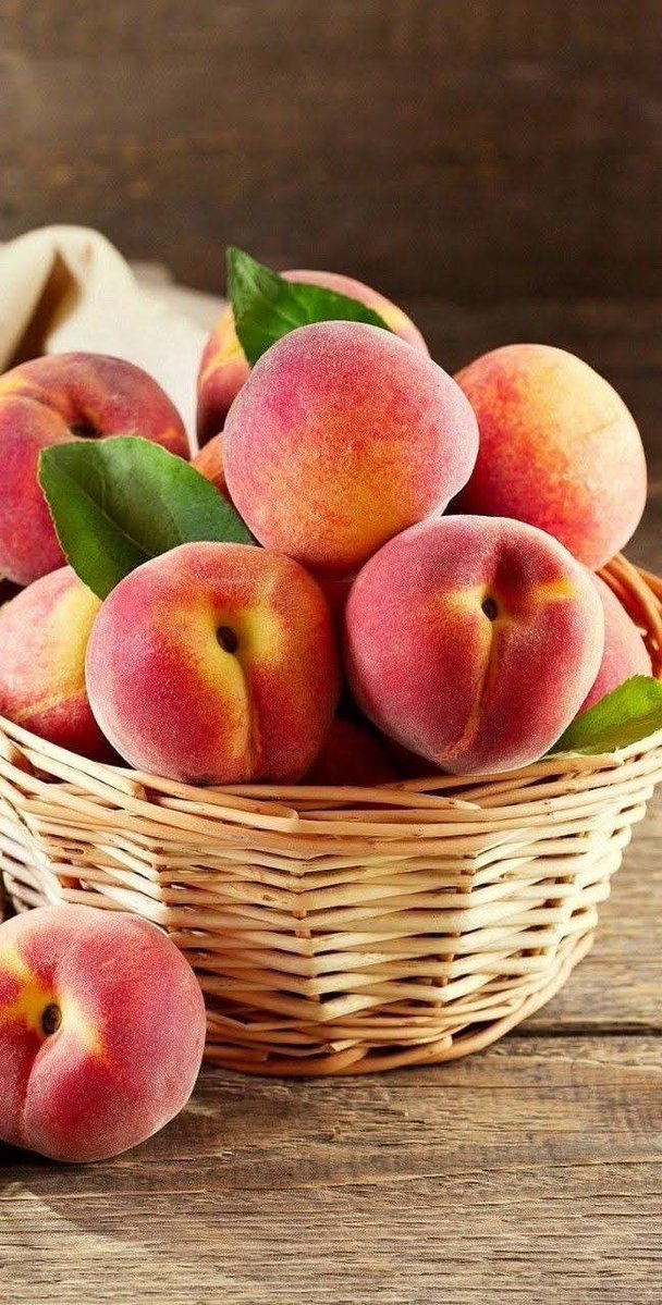 Hanan Hussain 𓎛𓄿𓈖𓄿𓈖 tweet media