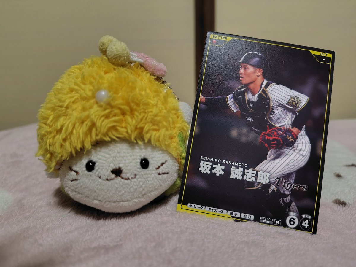 もりもふ＠おすもう tweet media