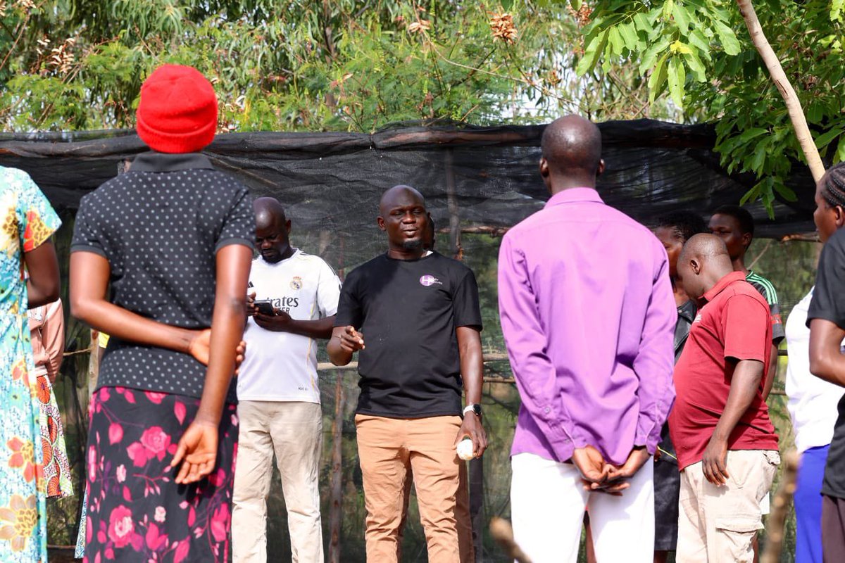 EL-THREE tweet media